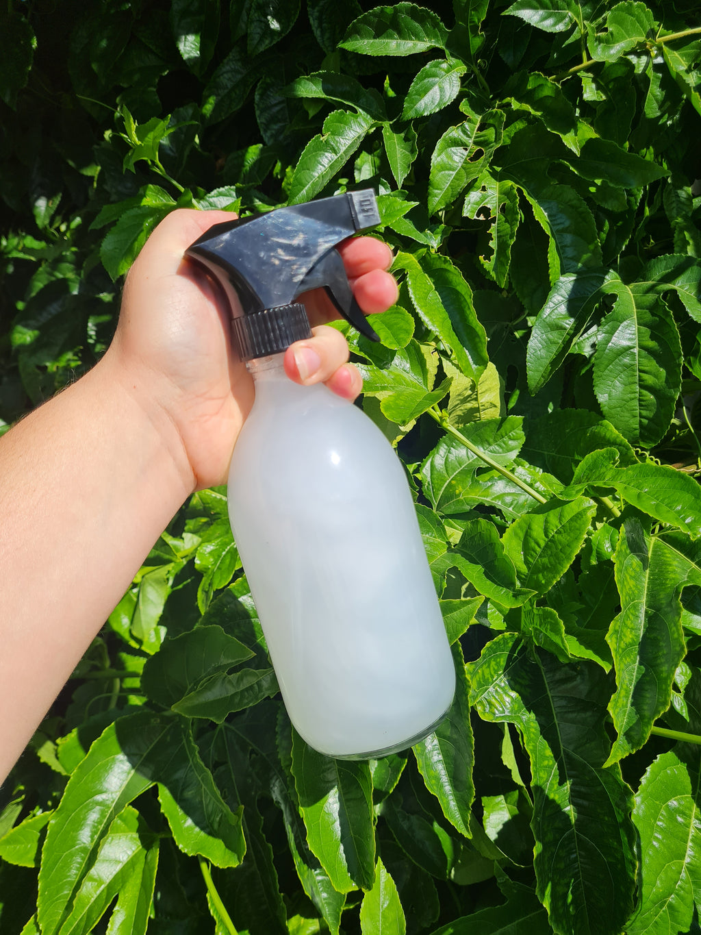 Refillable Glass spray bottle 500ml