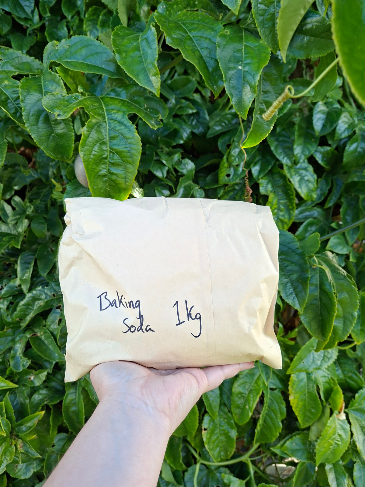 Baking Soda 1kg