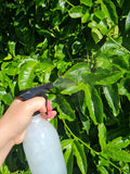 Refillable Glass spray bottle 500ml